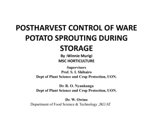 POSTHARVEST CONTROL OF WARE POTATO SPROUTING