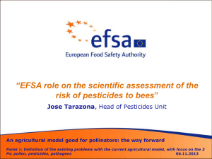 EFSA activities in 2012 – 2013