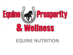 Equine Nutrition Sales Presentation