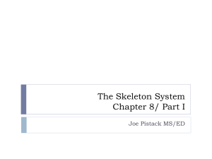 PPT08Chapter8TheSkeletonSystemPART1