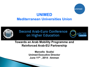 Towards an Arab Mobility Programme and Reinforced Arab