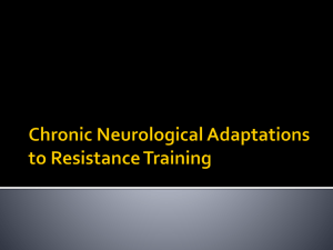 Chronic Neurological Adaptations to High Intensity Resistance