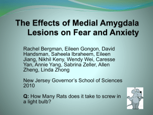 The Effects of Medial Amygdala Lesions on Fear