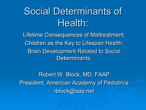 Social Determinants 2011 - Early Childhood Mental Health Network