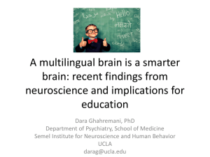A multilingual brain is a smarter brain - International Institute