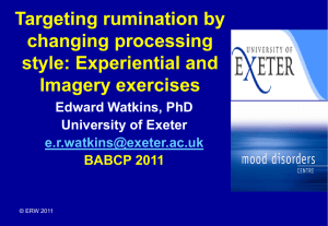 Ed Watkins - BABCP Conference and Workshops