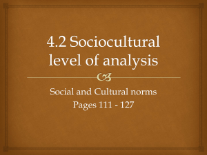 4.2 Social and Cultural Norms