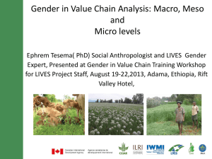 Gender in Value chainsmacro,meso and micro - LIVES