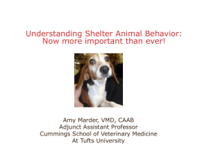 Keynote: Understanding shelter animal behavior