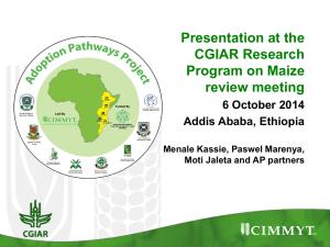 Presentation to the CGIAR Research Program on Maize