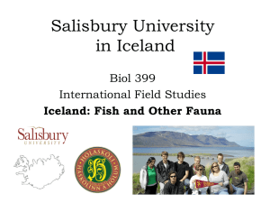 Iceland - Salisbury University