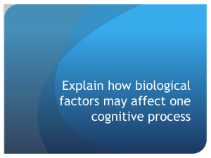 Explain how biological factors may affect one cognitive