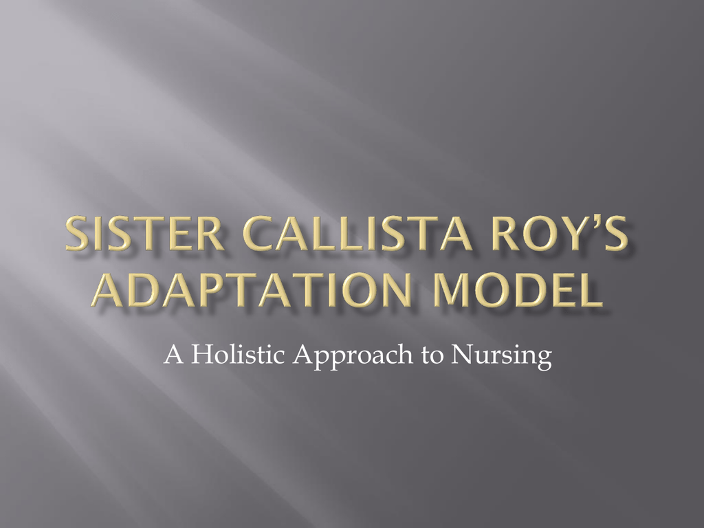 sister callista roy the roy adaptation model