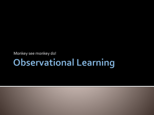 6. Observational Learning V2