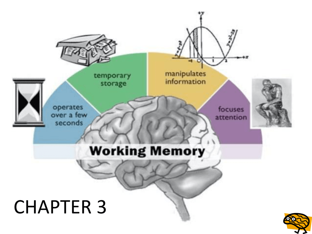 What Is Your Short Term And Working Memory Capacity