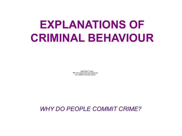 EXPLANATIONS OF CRIMINAL BEHAVIOUR