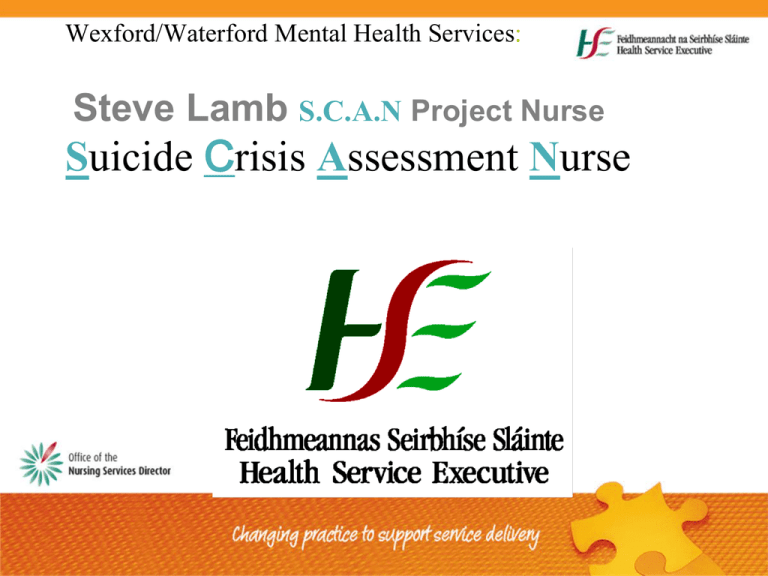 mr-steve-lamb-health-service-executive