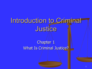 Introduction to Criminal Justice