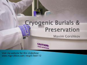 Cryogenic Burials