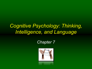 Chapter 7 Power Point: Cognitive Psychology