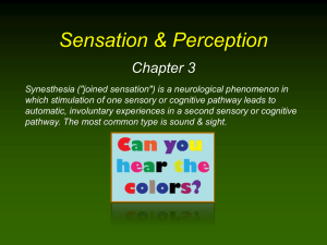 Chapter 3 Power Point: Sensation and Perception