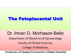 The Fetoplacental Unit