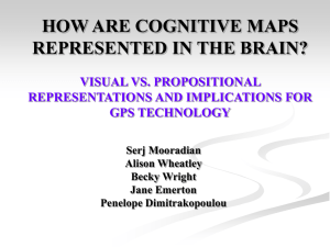HOW ARE COGNITIVE MAPS REPRESENTED IN THE BRAIN?