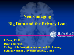 Neuroimaging, Big Data, and Privacy Issues