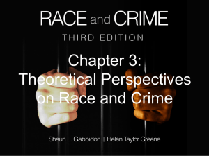 Chapter 3: Theoretical Perspective on Race and Crime