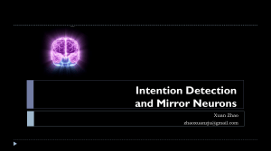 Mirror Neurons And Intention Detection
