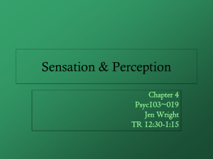 Chapter 04: Sensation and Perception