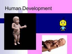Human Development PowerPoint - Raritan Valley Community College