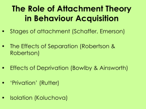 P3 Attachment Theory