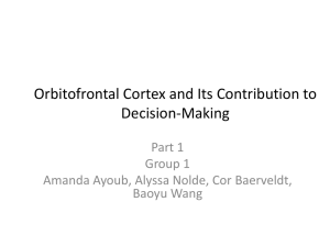 Orbitofrontal Cortex and Its Contribution to Decision