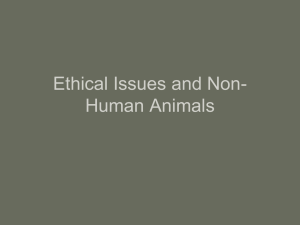 Ethical Issues and Non-Human Animals