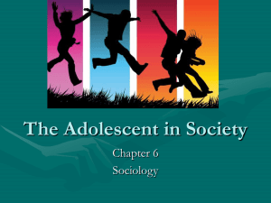 Chapter 6 The Adolescent in Society