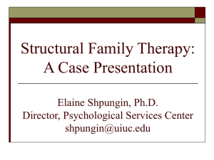 Family therapy case