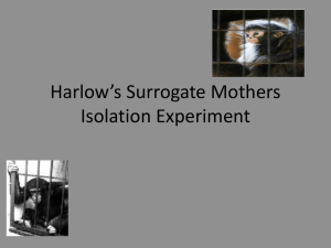 Harlow`s Isolation Experiment