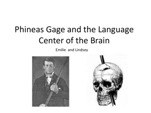 TOK phineas gage lindsey emilie