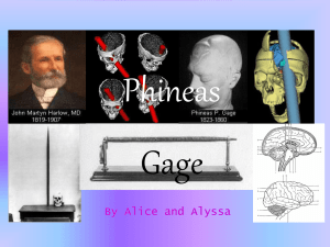 Phineas Gage (Lobes)