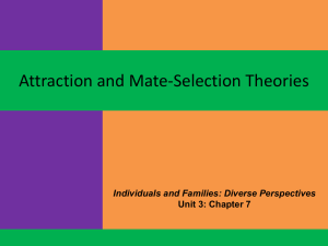 Attraction and Mate Selection Theories