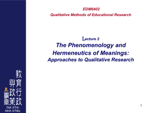 The Phenomenology and Hermeneutics of Meanings