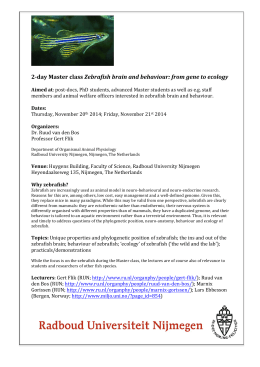 essay about thanksgiving day deadline