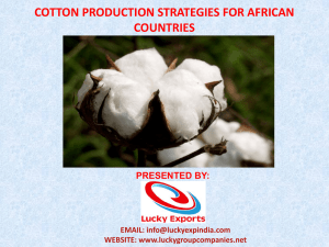 Lucy Presentation for growing cotton in africa