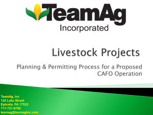 Livestock Projects (powerpoint)