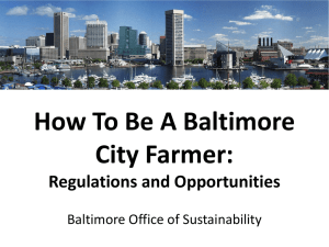 Homegrown Baltimore: Grow Local, Buy Local