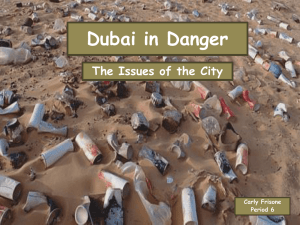 Dubai: The Country in Danger