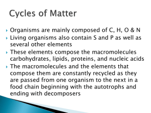 Cycles in Nature PowerPoint