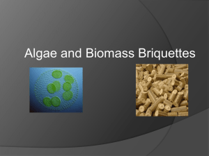 Algae and Biomass Briquettes