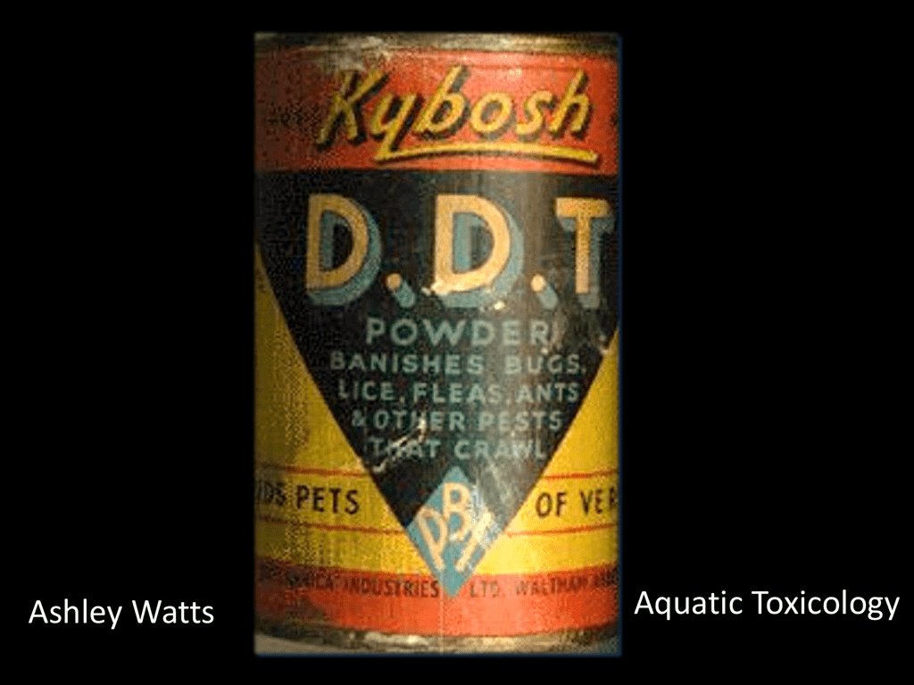 ddt bottle